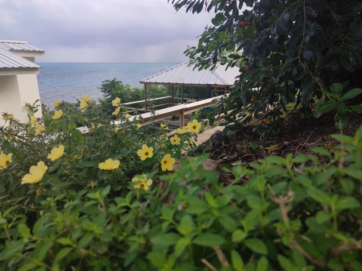 Maracaibo View Otel Bahia Maracaibo Dış mekan fotoğraf