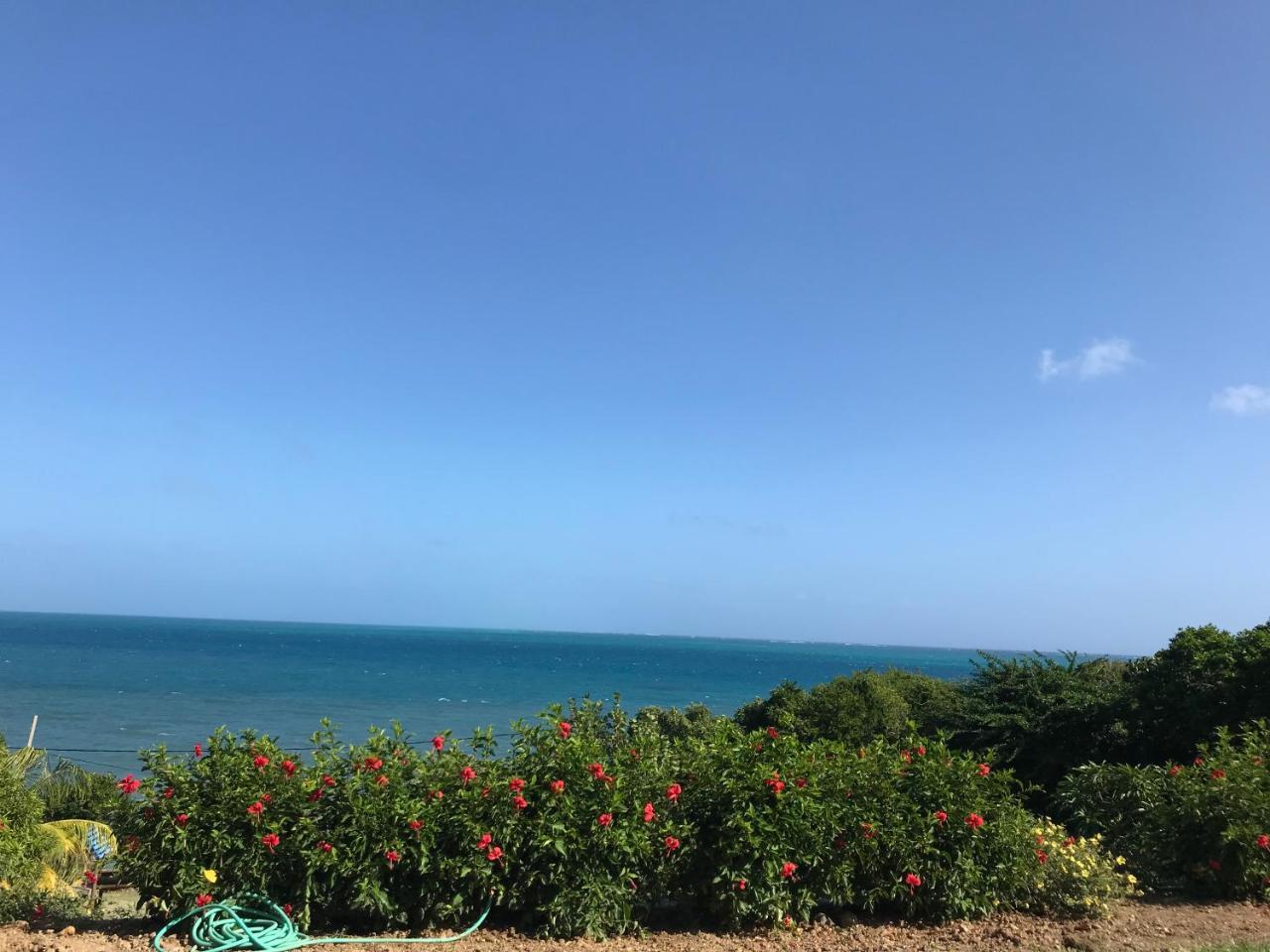 Maracaibo View Otel Bahia Maracaibo Dış mekan fotoğraf